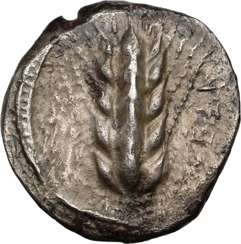 Lucania, Metapontum, AR nomos, um 470-440 v. Chr., Kornähre/Eintrag Kornähre