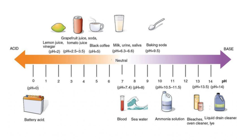 AQUOLIA™ SWM 300 - Picture 8 of 9