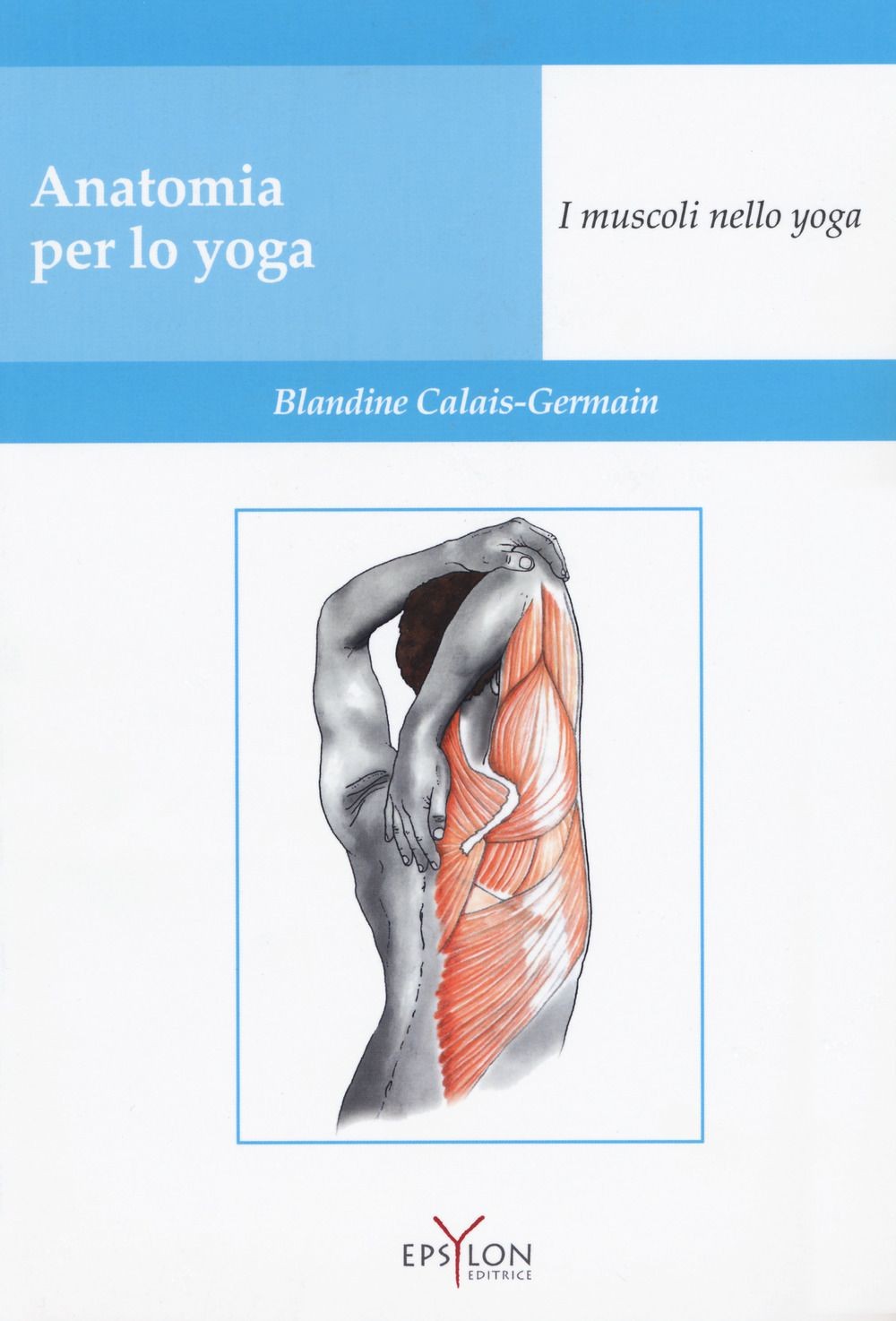 Epsylon Editrice Anatomia Per Lo Yoga. I Muscoli Nello Yoga - Blandine Calais Germain - Immagine 3