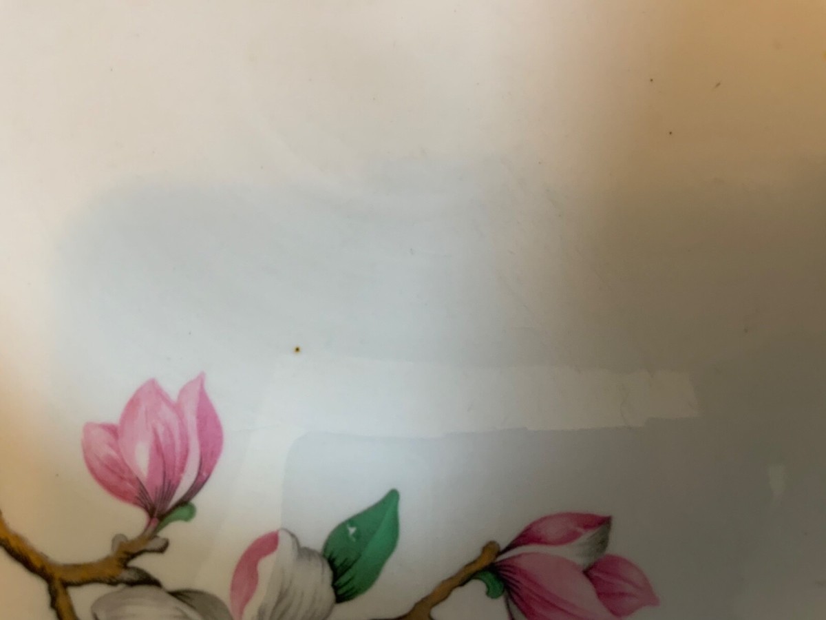 Vintage 1950s HOMER LAUGHLIN Rhythm Plates Pink DOGWOOD Dinner