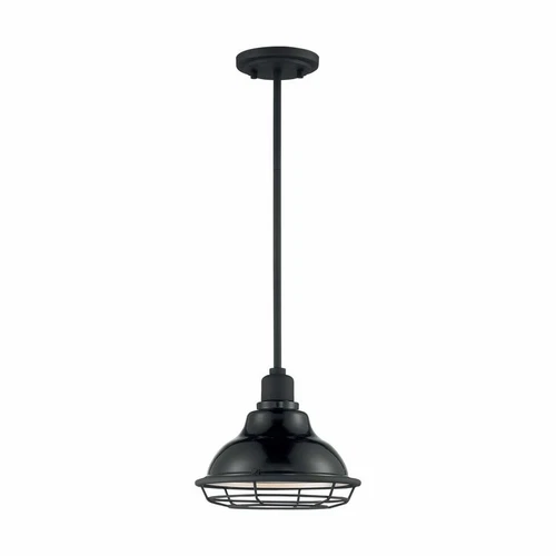 NUVO NEWBRIDGE 1 LIGHT SMALL PENDANT - Picture 4 of 15