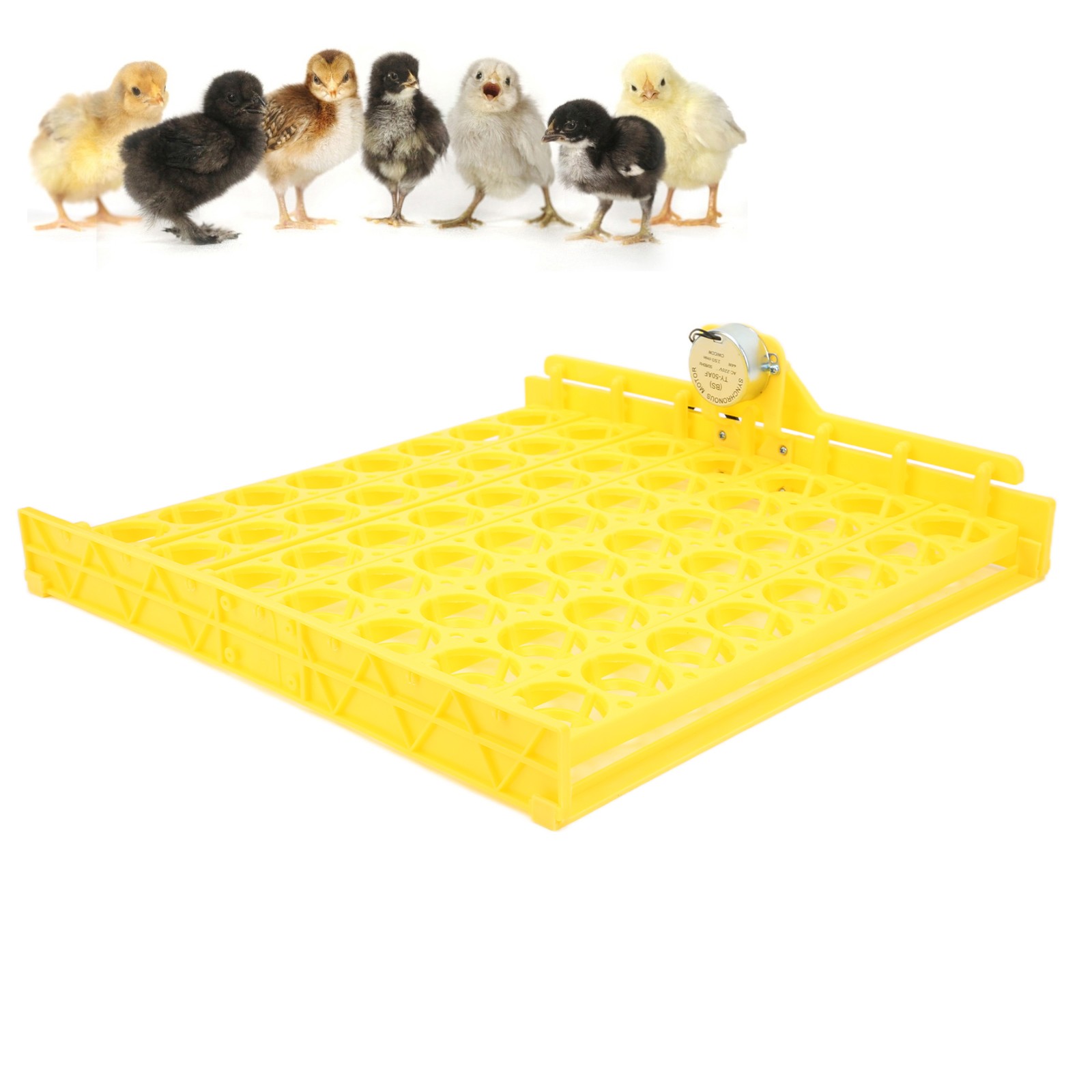 ­Automatic Egg Turner 56 Eggs ABS Automatic Egg Turner For Automatic Egg