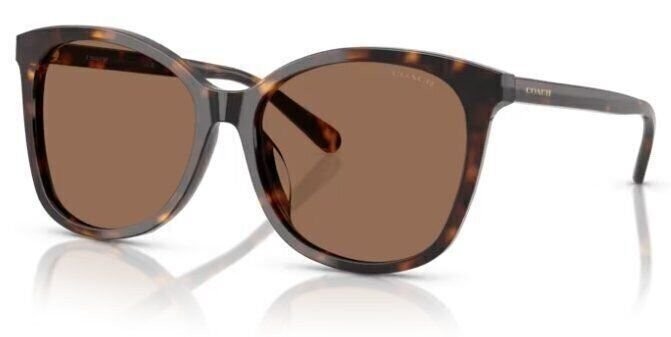 Coach 0HC8271 512073 57mm Butterfly Brown Sunglasses 15590₽