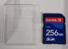 SanDisk 256 MB Memory Card And Case
