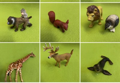 schleich Mandrill Baby Eichhörnchen Löwe MC Donald Giraffe Elch Seehund