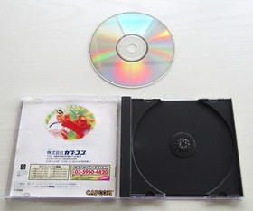 Street Fighter Collection Zero Real Battle set of 4 games Sega Saturn Japan