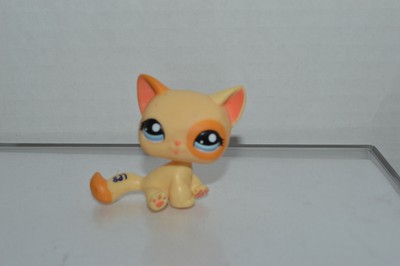 lps sitting down cat