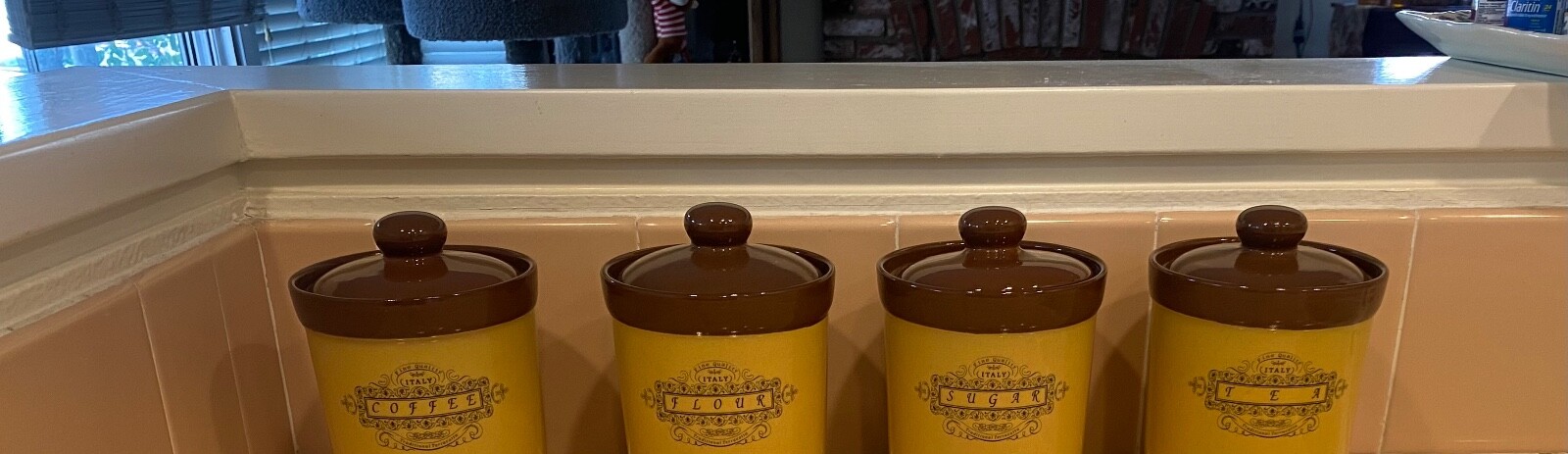 Canister Set Of4 Italy Terracotta Rich Earth Tones Well Made. 4.5” never used.