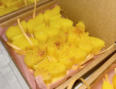 wax melts inspiriert Parfum Duft J ADORE Geschenkbox Portofrei X6 Schmetterling  