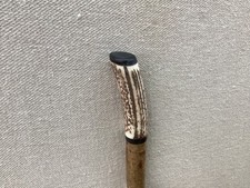 Red Deer Antler Walking Hazel Hiking Stick No.12
