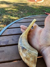 Vintage Shofar Kosher Ram's Musical Horn 8"  Rosh Hashana