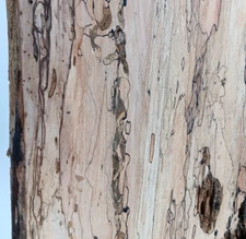 Spalted Maple Live-edge Slab