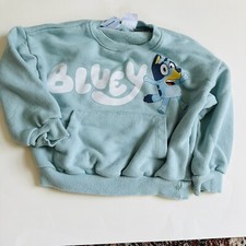 Zara Toddler Bluey Sweatshirt Size 3/4