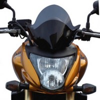 Honda 600 Hornet 07/10 - GetöNtes Windschild / BH131SVFN