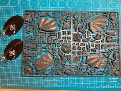 Sturmdrachengarde Stormdrake Guard Stormcast Eternals Warhammer Age Of Sigmar