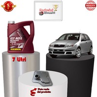 Set Filter Austausch Automatisch Und ÖL Skoda Fabia 2.0 85KW 116CV 2005-> 100422