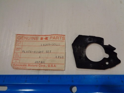 Genuine Kawasaki Right Throttle Case Plate #13169-3510 New - Picture 1 of 1