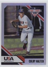 2020 USA Baseball Stars & Stripes Longevity Flag Black 1/5 Colby Halter #33 x5u