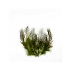 Bild 35 von 38
