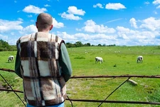 Unisex Gilet Merino Wool Hypo Allergenic Body Warmers & Vest 100% Lambswool