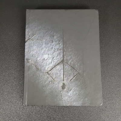 Bloodborne Official FuturePress Collectors Edition Hardcover Strategy Guide
