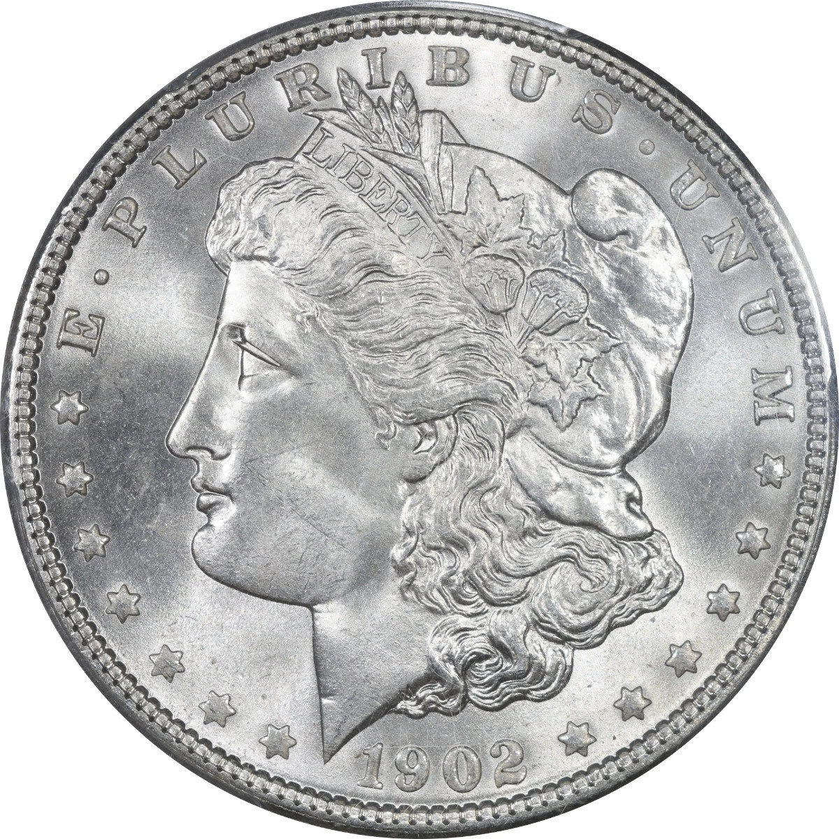 1902 Year Grade MS 65 Morgan Dollars (1878-1921) for sale | eBay