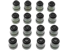 For 2008-2009 Chrysler Aspen Valve Stem Seal Kit Intake and Exhaust 33645CMGJ