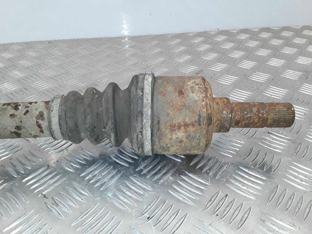 Imagen 2 de 5