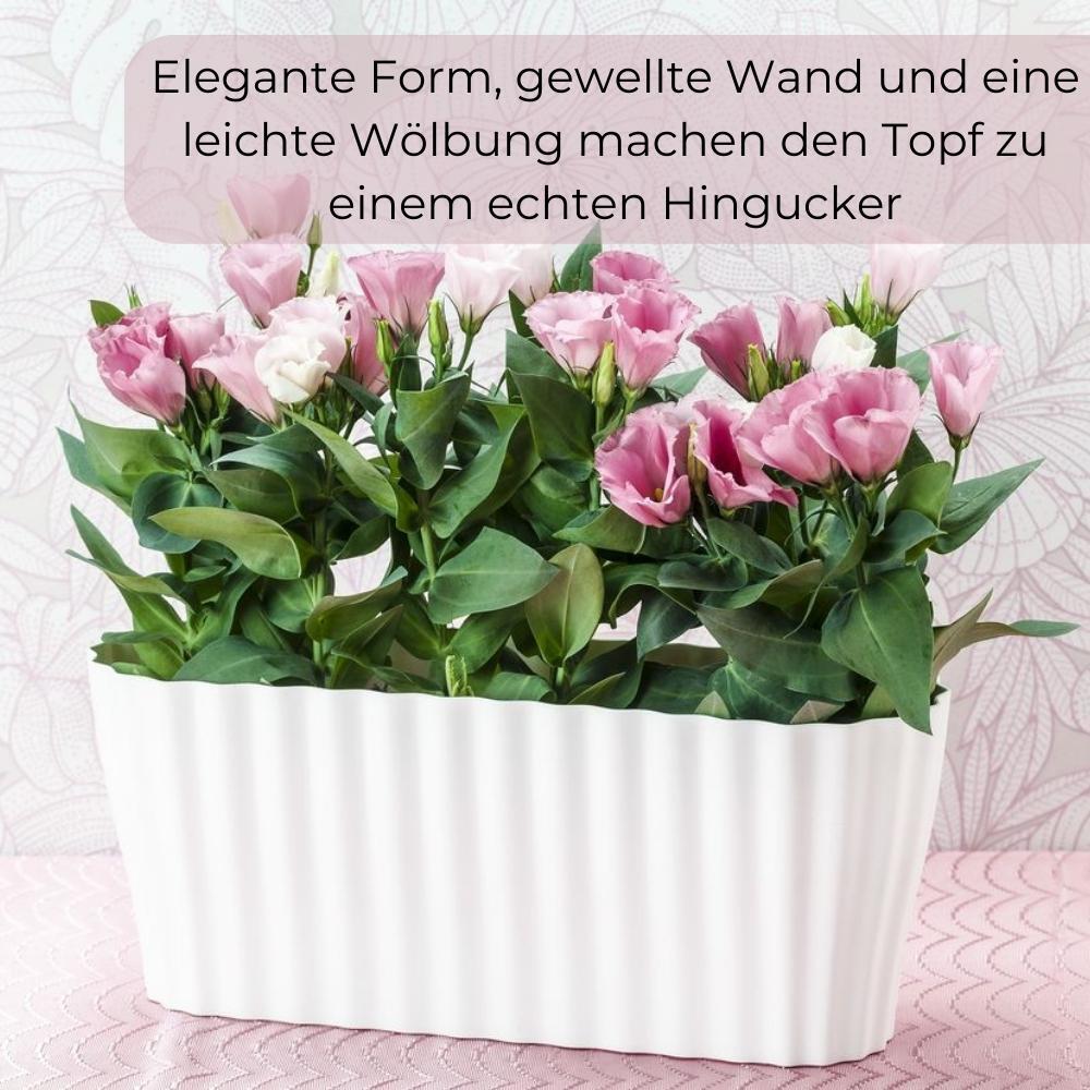 Bild 5 von 14