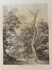 Jacob Wilhem Mechau Bosco Marino Castelli romani acquaforte etching 1792 Roma