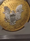 2014 Eagle 🦅Gold Gilded Spectacular1 oz American Eagle (Brilliant Uncirculated)