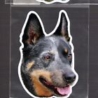 Australian Cattle Dog 4 inch face magnet for anything metal
