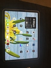 iPad 11 Pro With TikTok App Installed