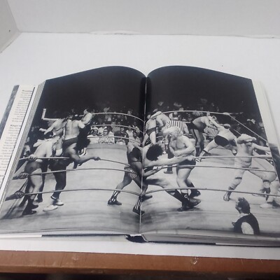 Exquisite Mayhem: The Spectacular And Erotic World Of Wrestling By