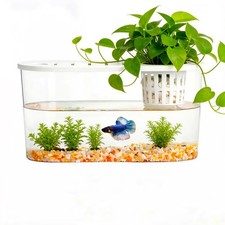 1.2 Gallon Betta Fish Tank Desktop Aquarium Lid Plant Basket Shatterproof