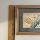 Picture 5 of 5