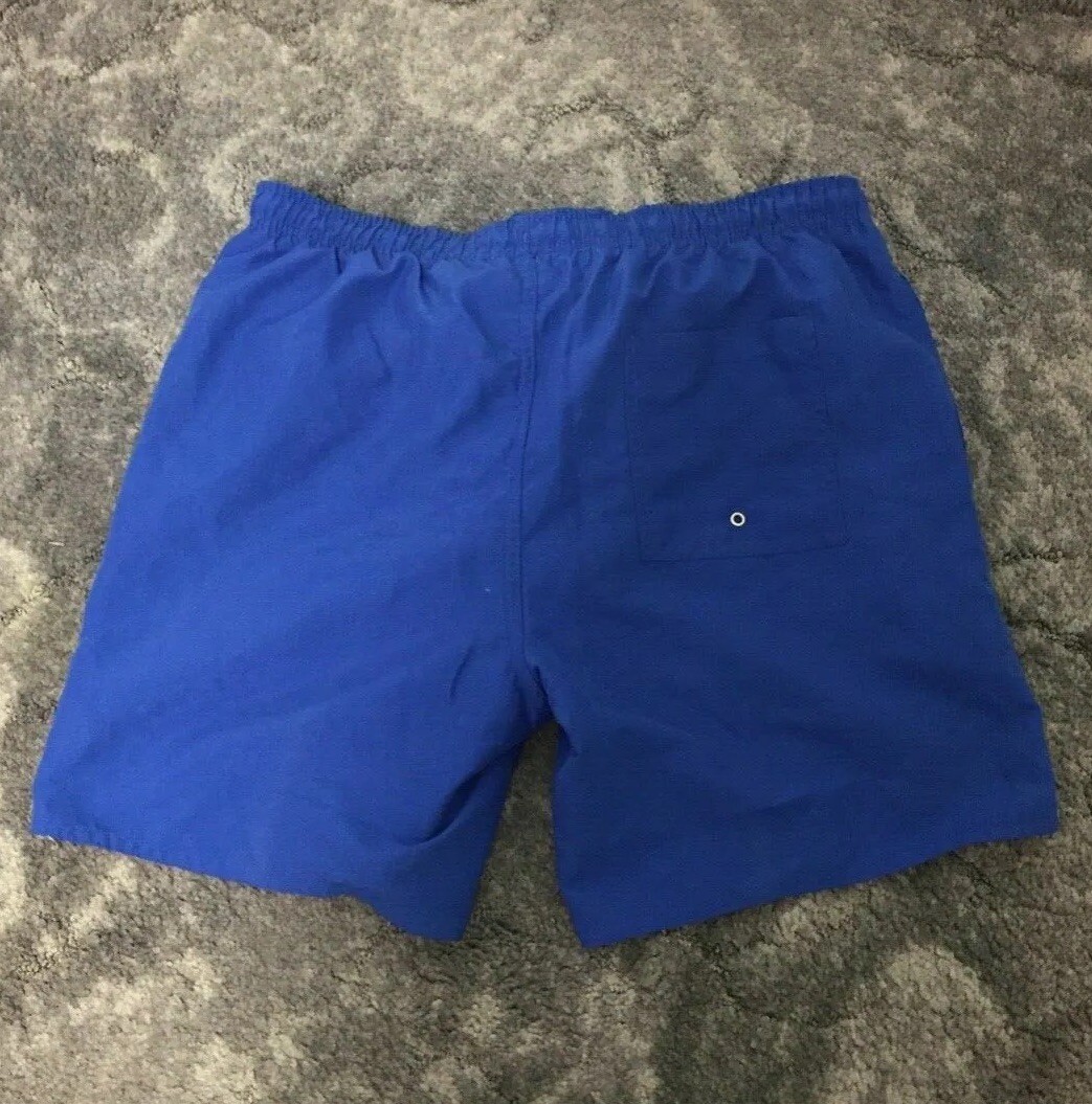Mens Board Shorts Size L Blue Draw String Built In Mesh Lining Boardies