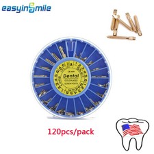 Dental Screw Posts Kit Root Canal Pins Gold Plated 120Pc Full Set