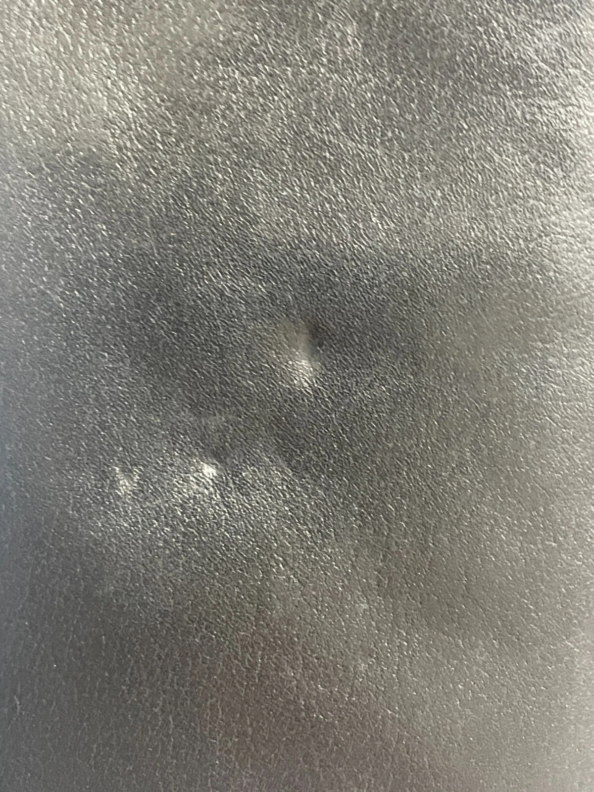 Picture 20 of 23