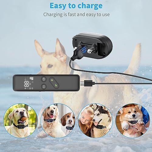 for Delupet Dog Training Collar Charger Replacement, MEROM Power Cable