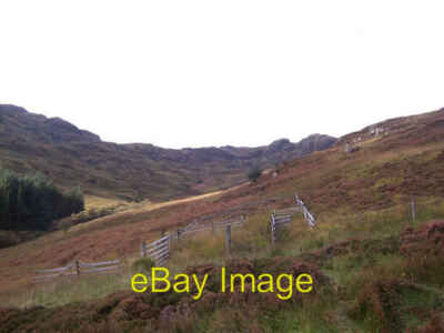 Foto 6x4 Ein Schafstall in Glen Drynain. Ardentinny A Gleis führt durch c2006
