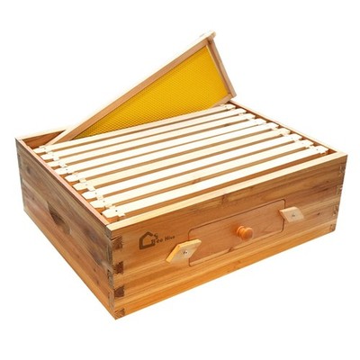 10-Frame Medium Super Bee Hive with Acrylic Window & 100% Beeswax Coating