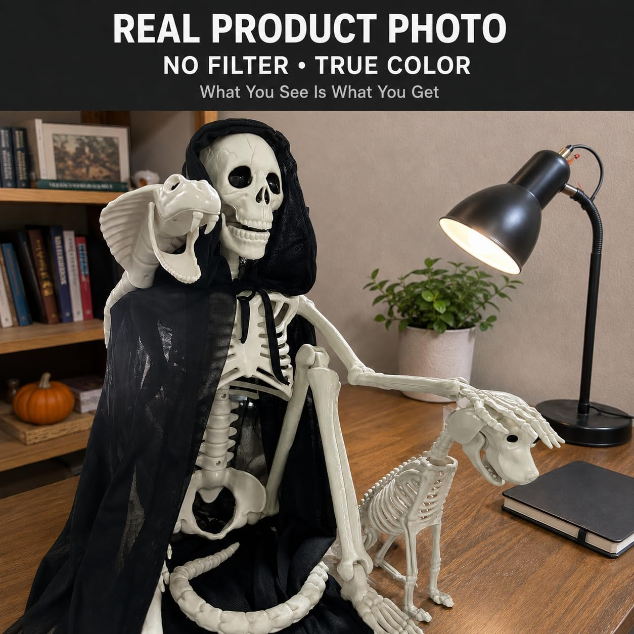 Halloween Skeleton Decor Set, 35.4In Posable Human Skeleton, Cobra ...