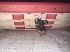 2010 Longaberger Horizon of Hope Pink Tray with Plactic Insert and Lid — photo 2