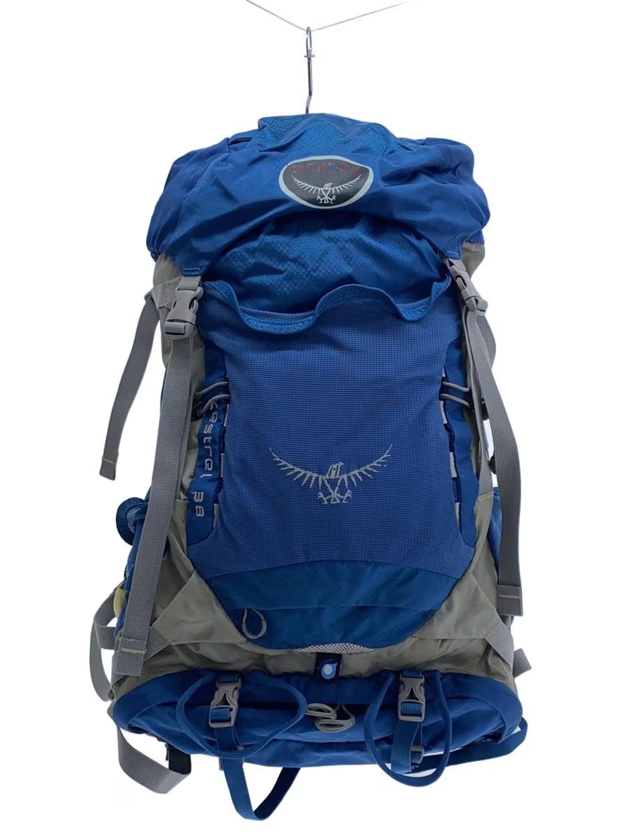 Osprey Nylon Backpack, Blue, Solid Color, 033738-… - image 1