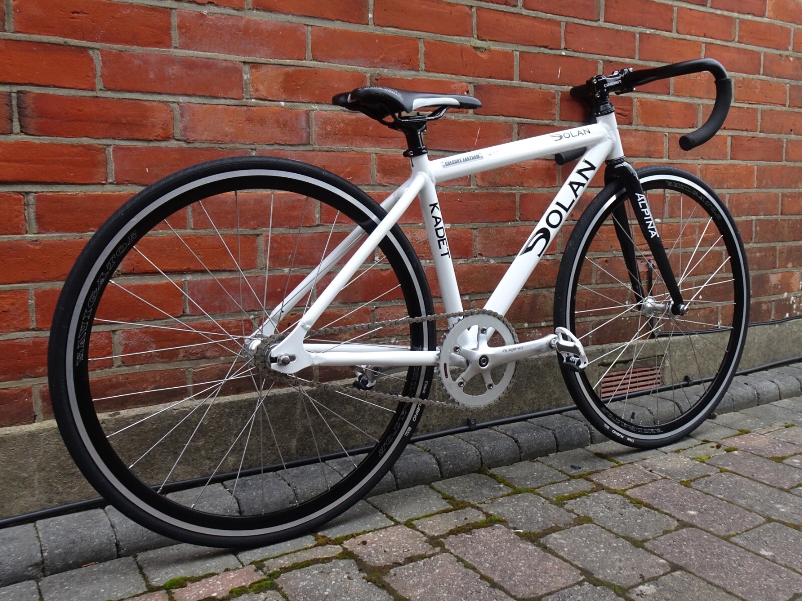 Dolan Kadet Aluminium Kids Track Bike eBay