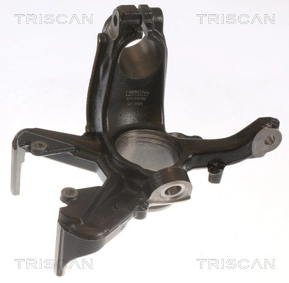 Achsschenkel, RadaufhäNgung Triscan 8500 29702 Audi 1J0 407 256 H-image