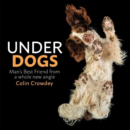 Underdogs by Colin Crowdey - - Image 3