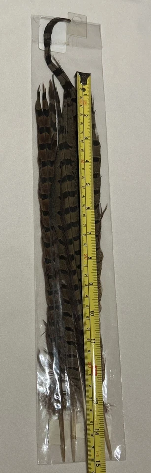 PLUMA DE FAISÁN TALLAS 14-16" ¡Nueva! (Paquete con 6 plumas) Foto 2 de 4