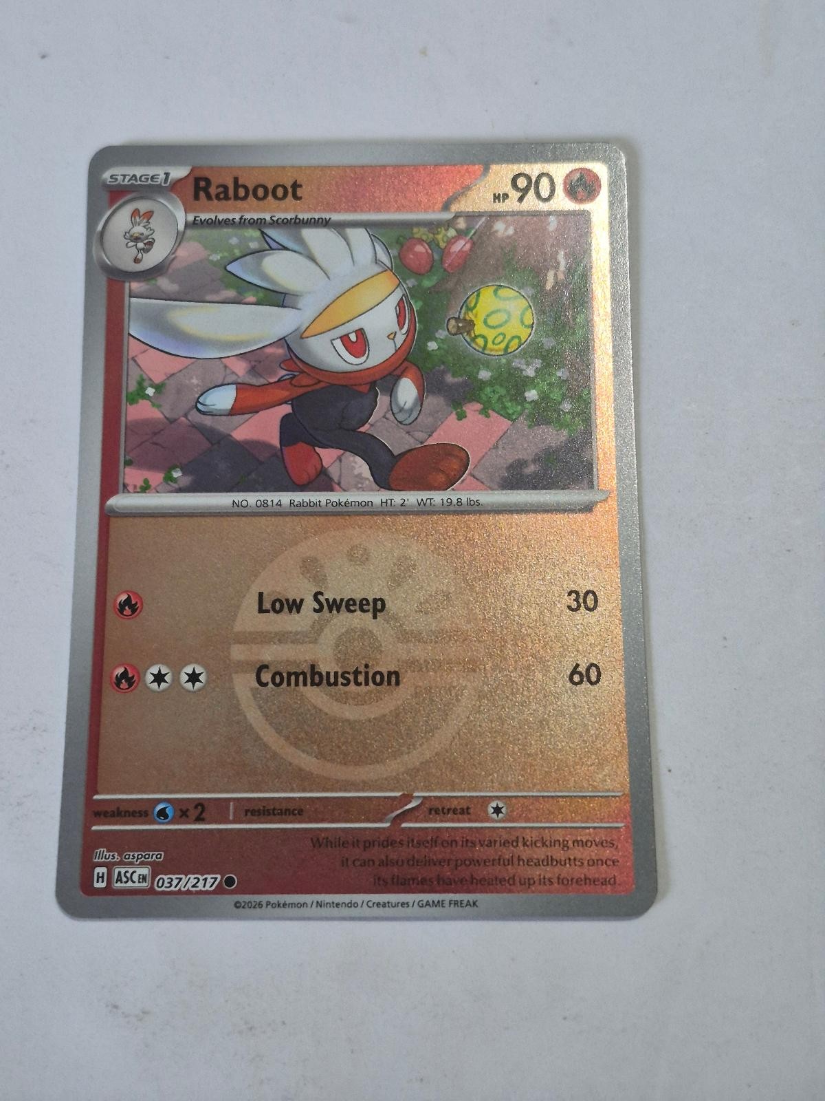 Raboot (Friend Ball) 037/217 Common ME: Ascended Heroes Pokemon Reverse Holo NM